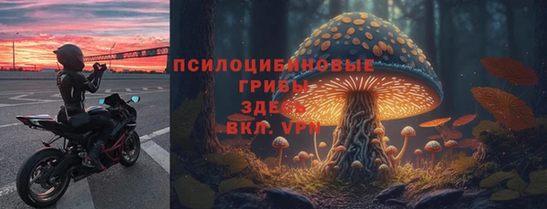 PSILOCYBIN Богданович